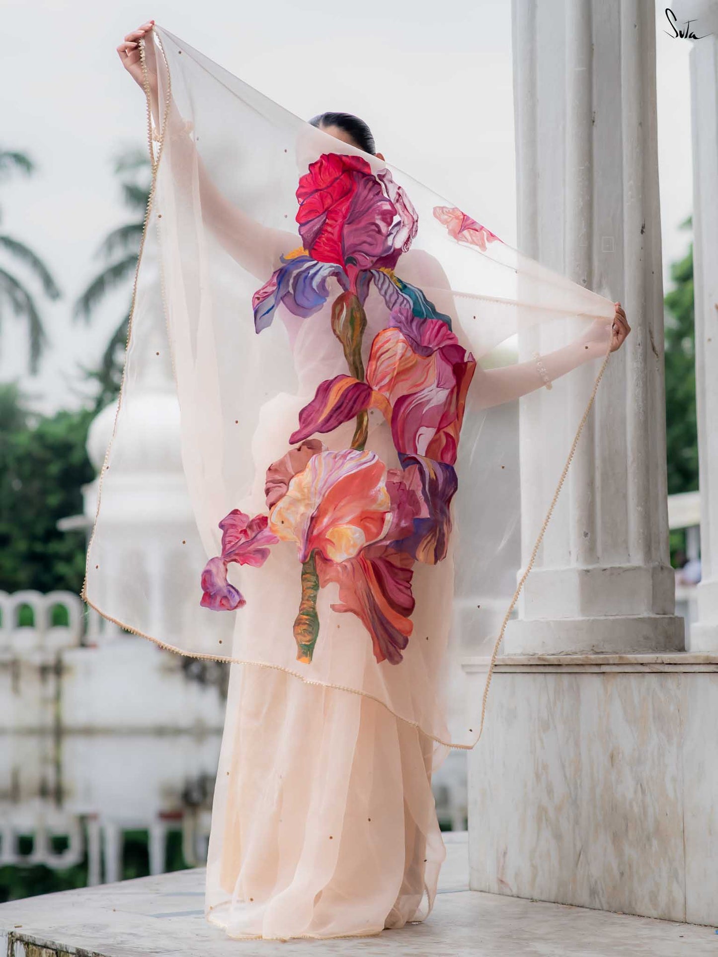 Dreamy Iris Blooms